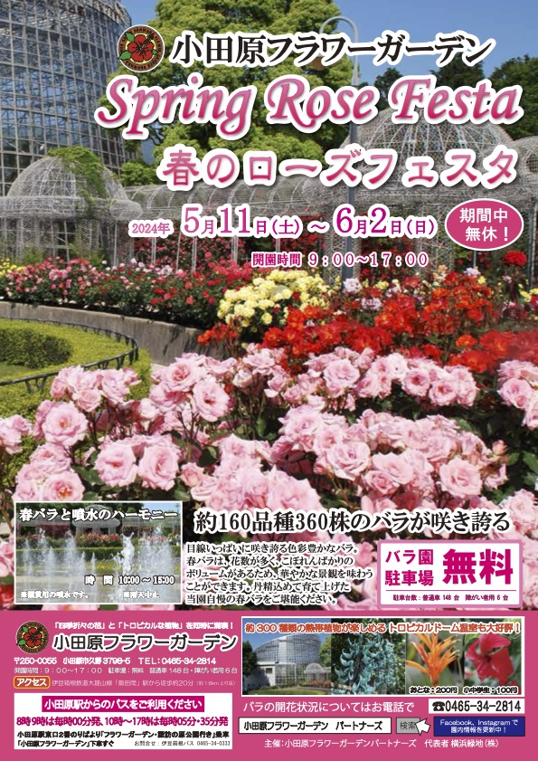 2024年5/12（日）『小田原フラワーガーデン』Spring Rose Fiesta